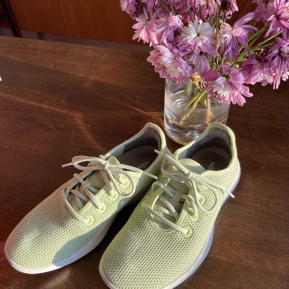 Allbirds Tree Runners Forage Green; Great Condition; Original packaging